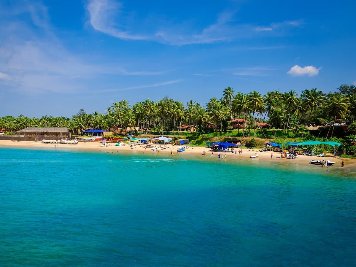 Palm-Fringed Golden Beach and Turquoise Waters in Goa