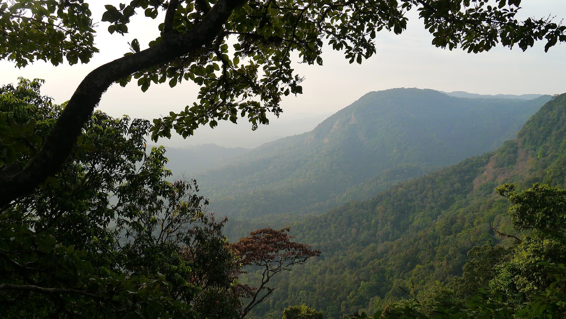 Misty Western Ghats mountain panorama at sunset in Karnataka - RV Tours & Travels customer advisory