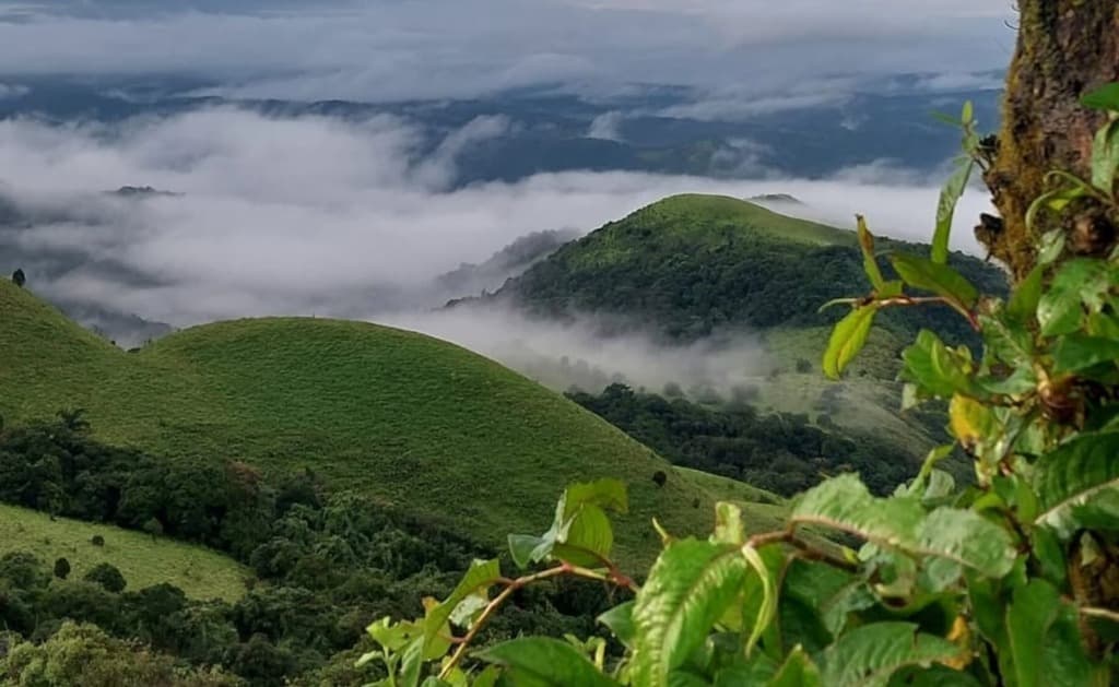 Coorg Rolling Green Mountains and Cloud-Kissed Mist View